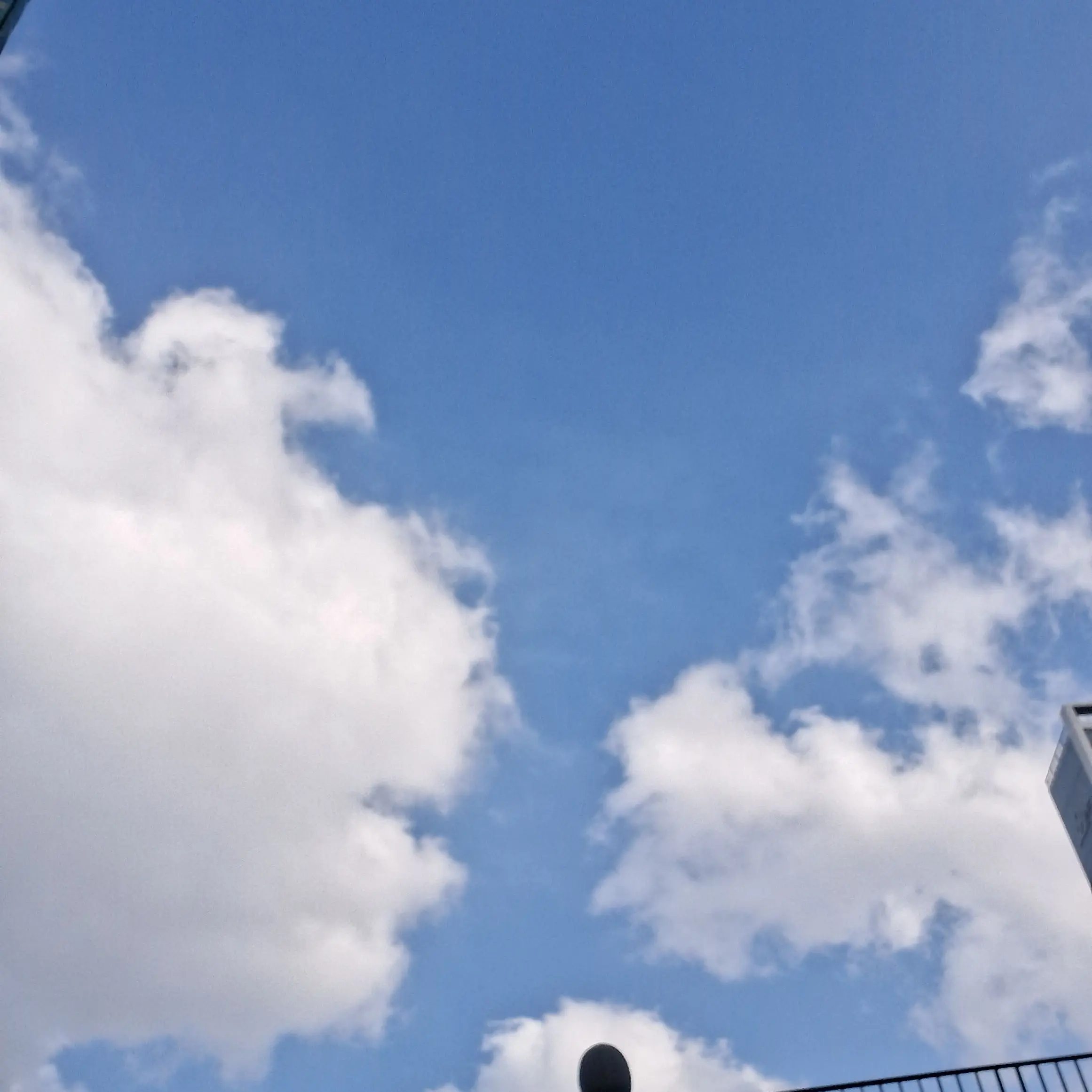 NuttyRings4238의 미츄 화난 부쿠키!!!!