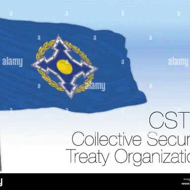 Profile image of CSTO