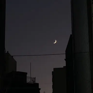 Profile image of 유지민