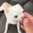 부랄 새끼