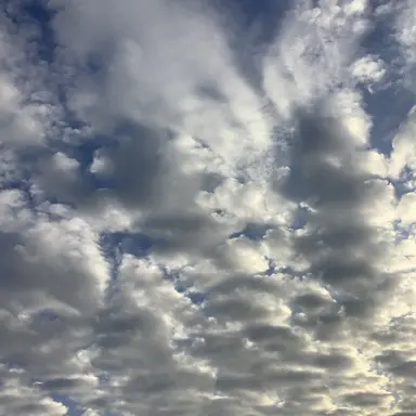 Profile image of メンバー