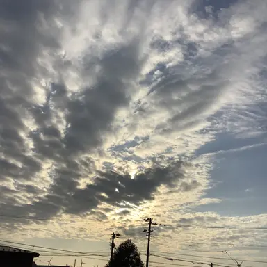 Profile image of 佐野勇斗