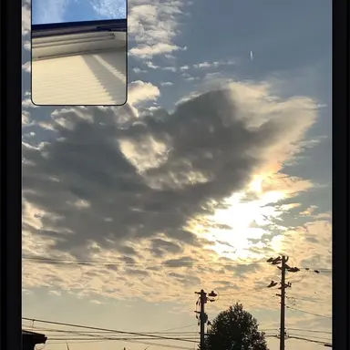 Profile image of 曽野舜太