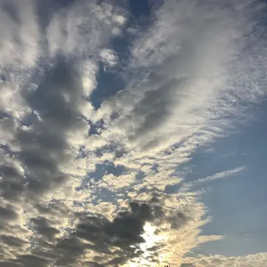 Profile image of 吉田仁人