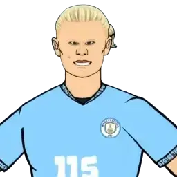 Profile image of 엘링 홀란