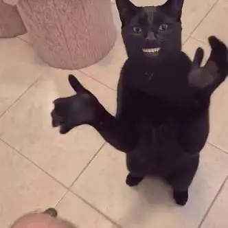 Profile image of CLAPcat