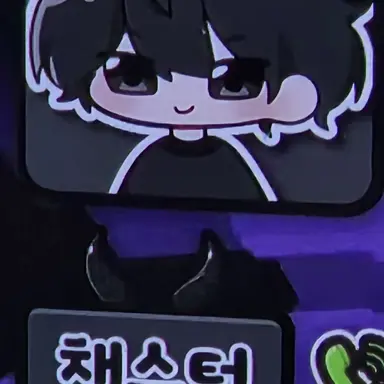 Profile image of 채스터