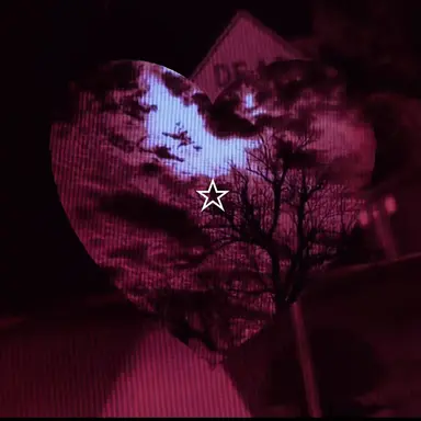 Profile image of 유기사