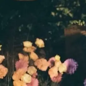 Profile image of 霧矢