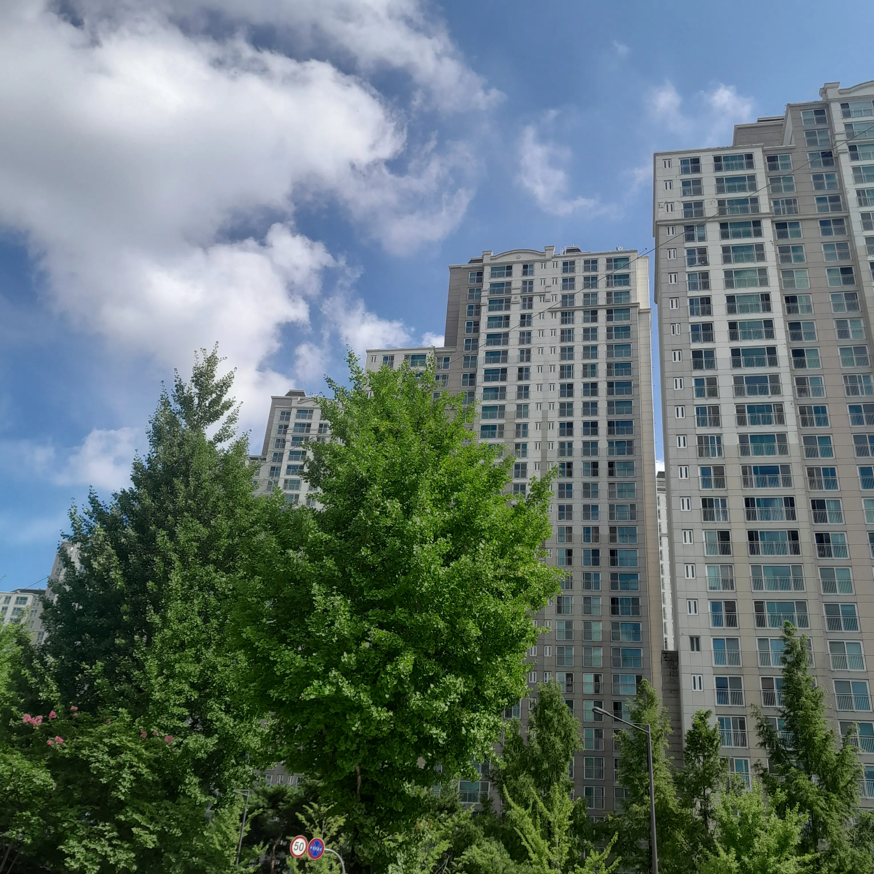 DullTakin6492의 덕경위