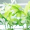 Profile image of トゥルミ電子 営業3チーム