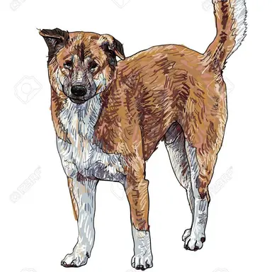 Profile image of タッチ