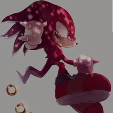 Profile image of 너클즈