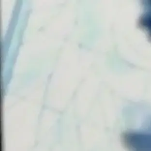 Profile image of フィシア