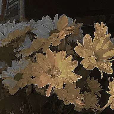 Profile image of 터너