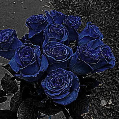 Profile image of 제빈