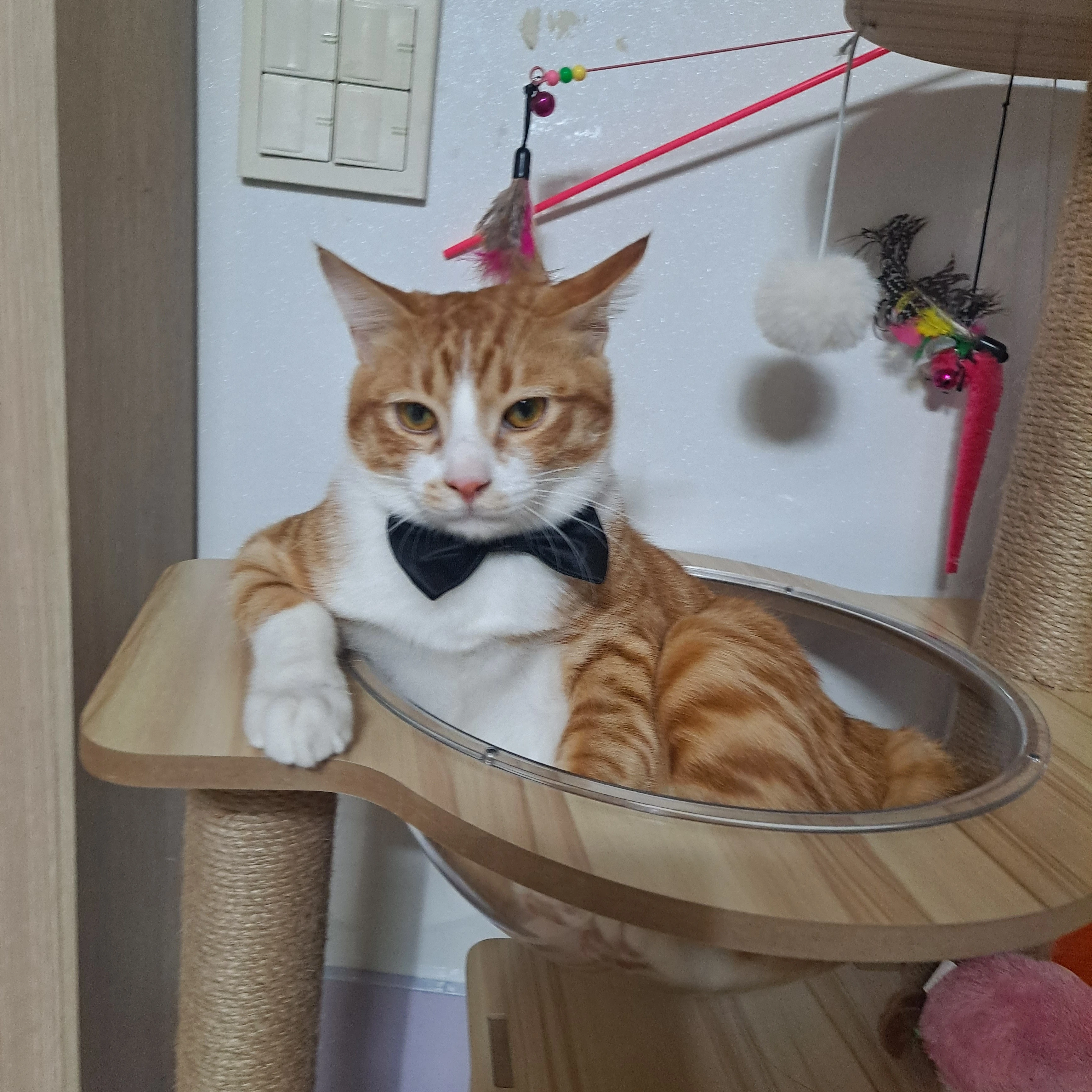 각별