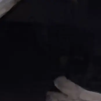 Profile image of 한태오