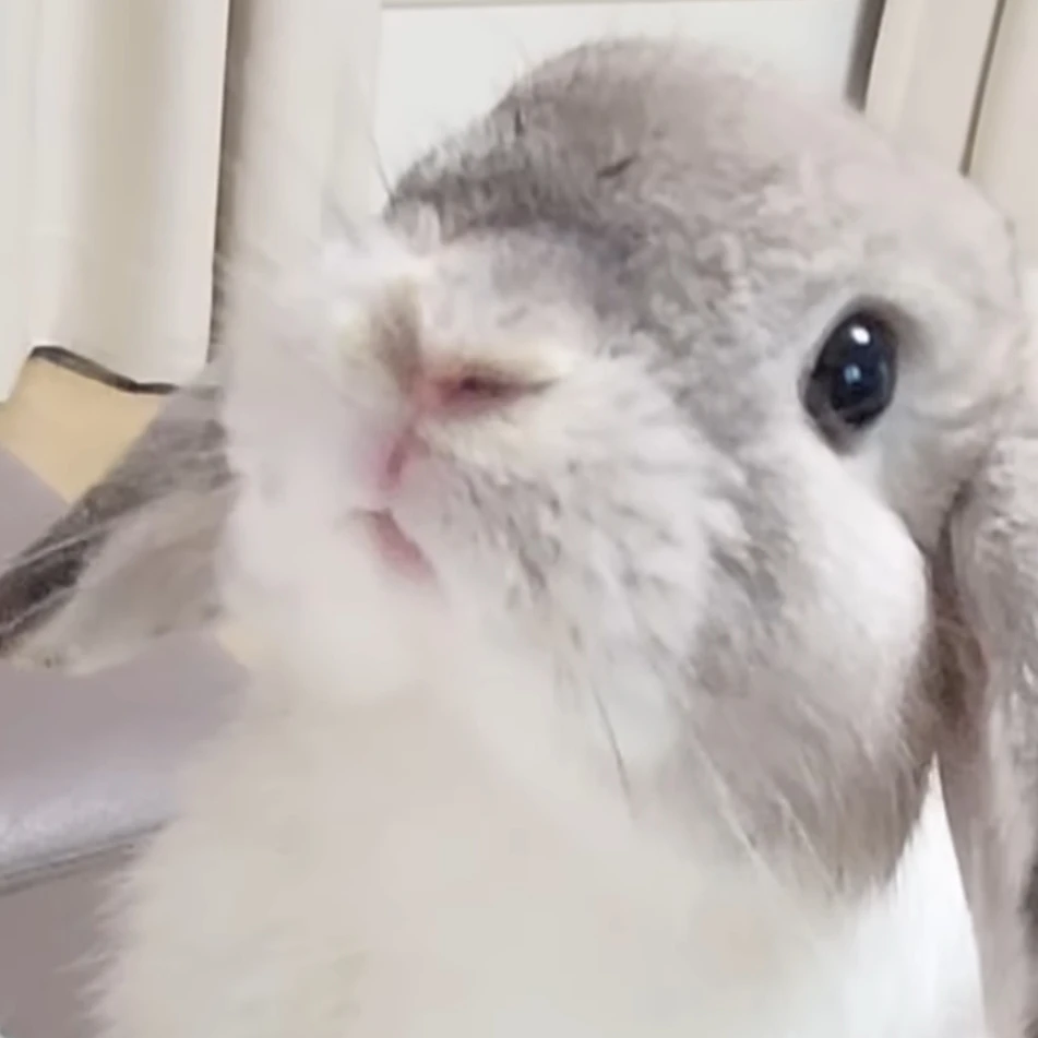 옐로