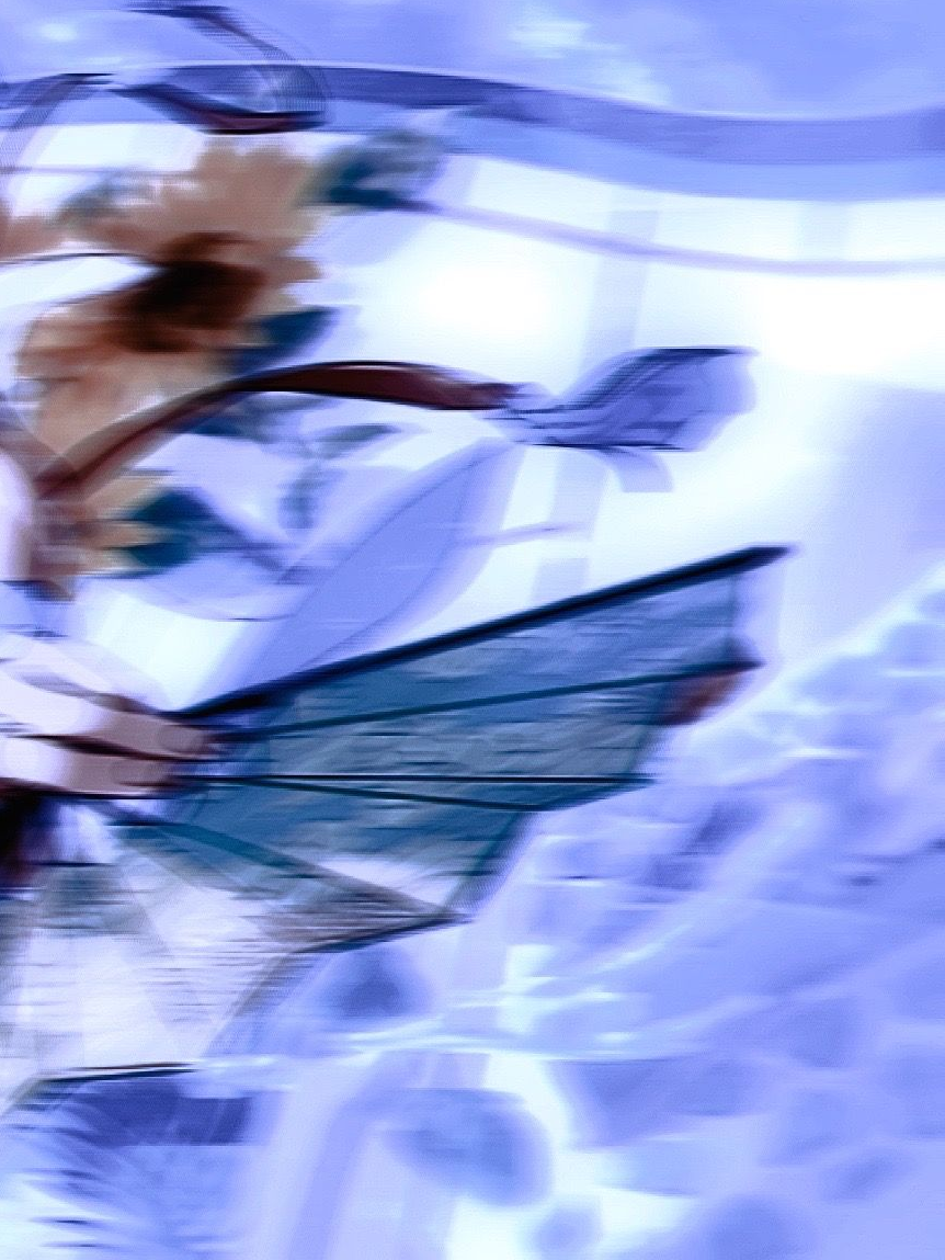 𓆛 대표 이미지