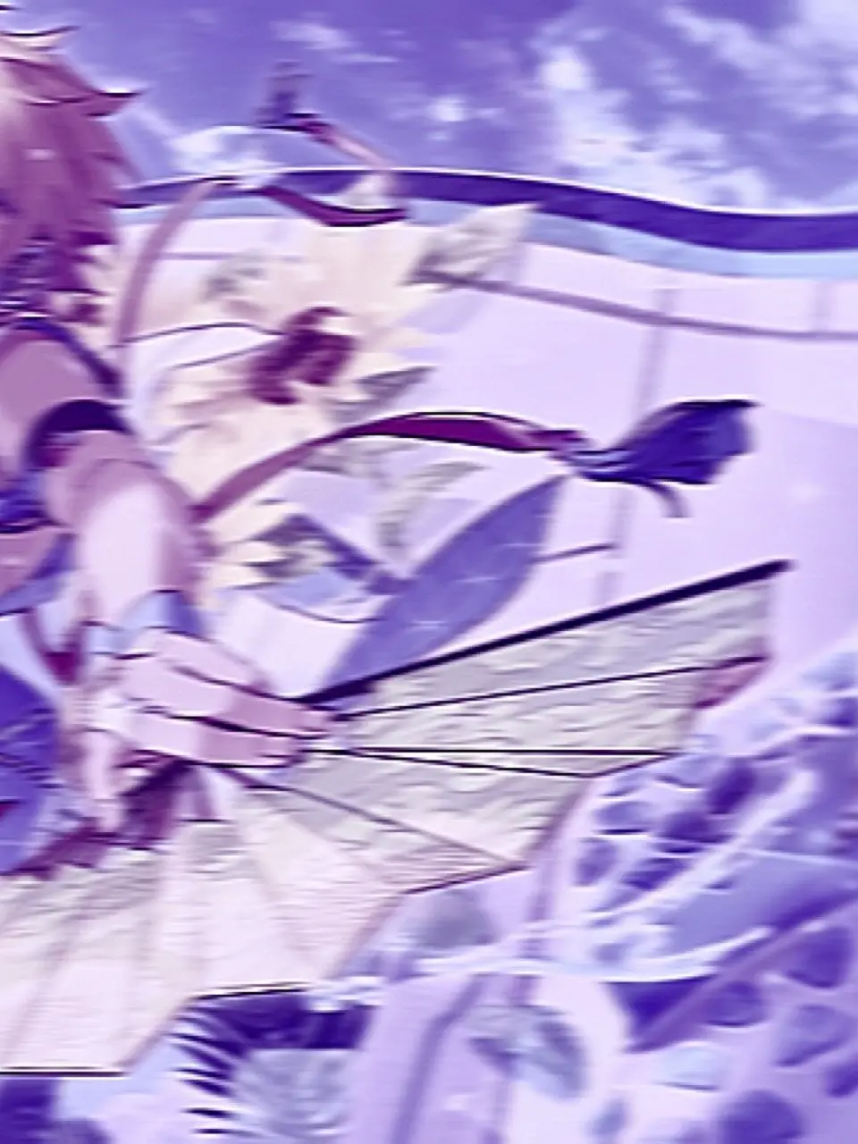 xxLEOxx의 𓆛