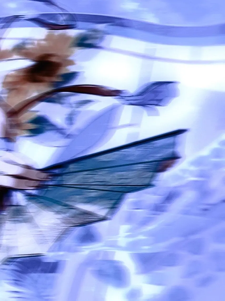 xxLEOxx의 𓆛