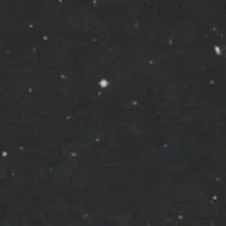 Profile image of 荒井先生