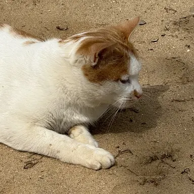 Profile image of 보네hospital