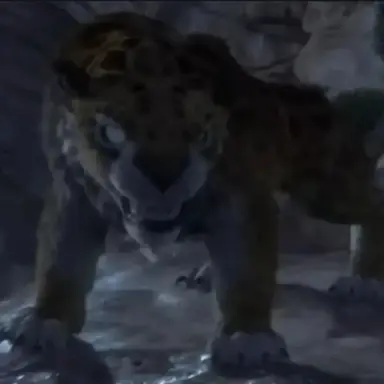 Profile image of 팡고