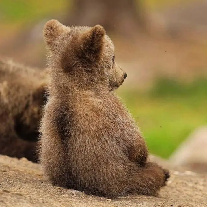 RemoteSiren0729의 엄친딸 둘