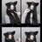 김예서