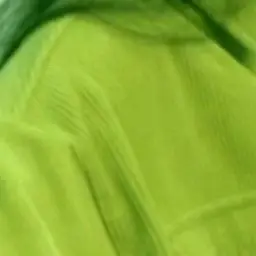 Profile image of 공룡