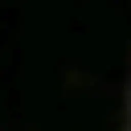 Profile image of リッカ