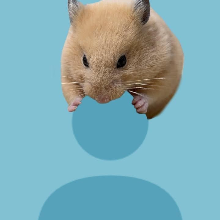 박해민 대표 이미지