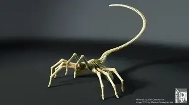 Profile image of Facehugger