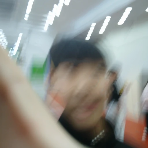 남잼이