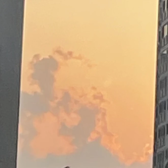 이기적