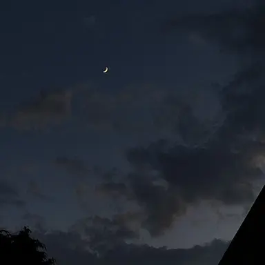 Profile image of アダム