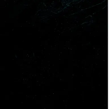 Profile image of 박늑대