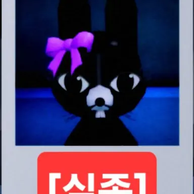 Profile image of 라티나