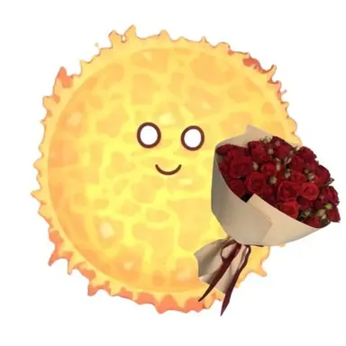 Profile image of Sun