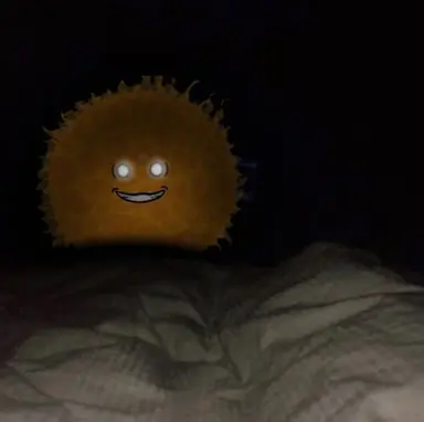 Profile image of Sun