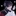 黒斗