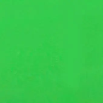 Profile image of 공룡