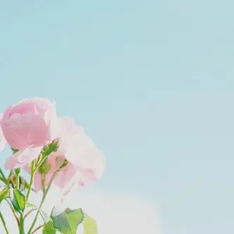 Profile image of 시나즈가와 사네미