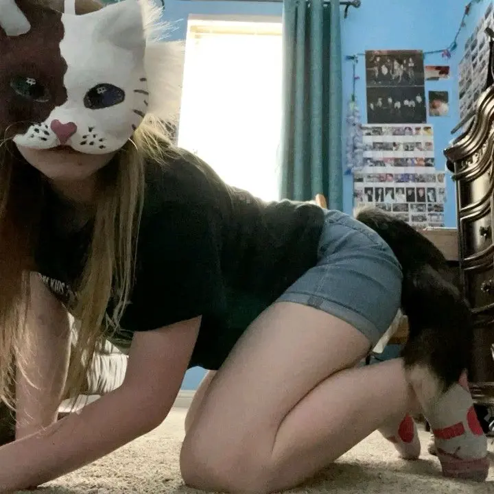 DeathPixie의 My Little Housecat