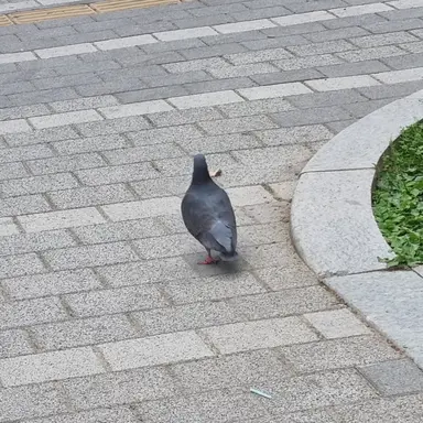 Profile image of 평학님