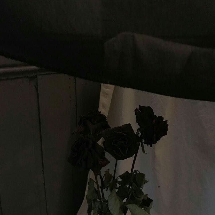 유지민 대표 이미지