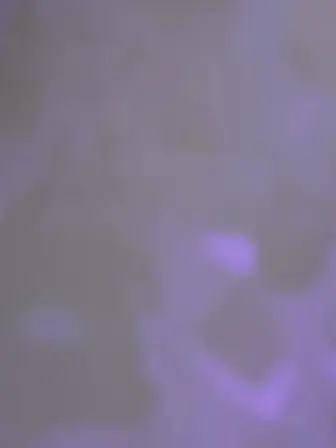 Evade_darling.의 最強のペア。