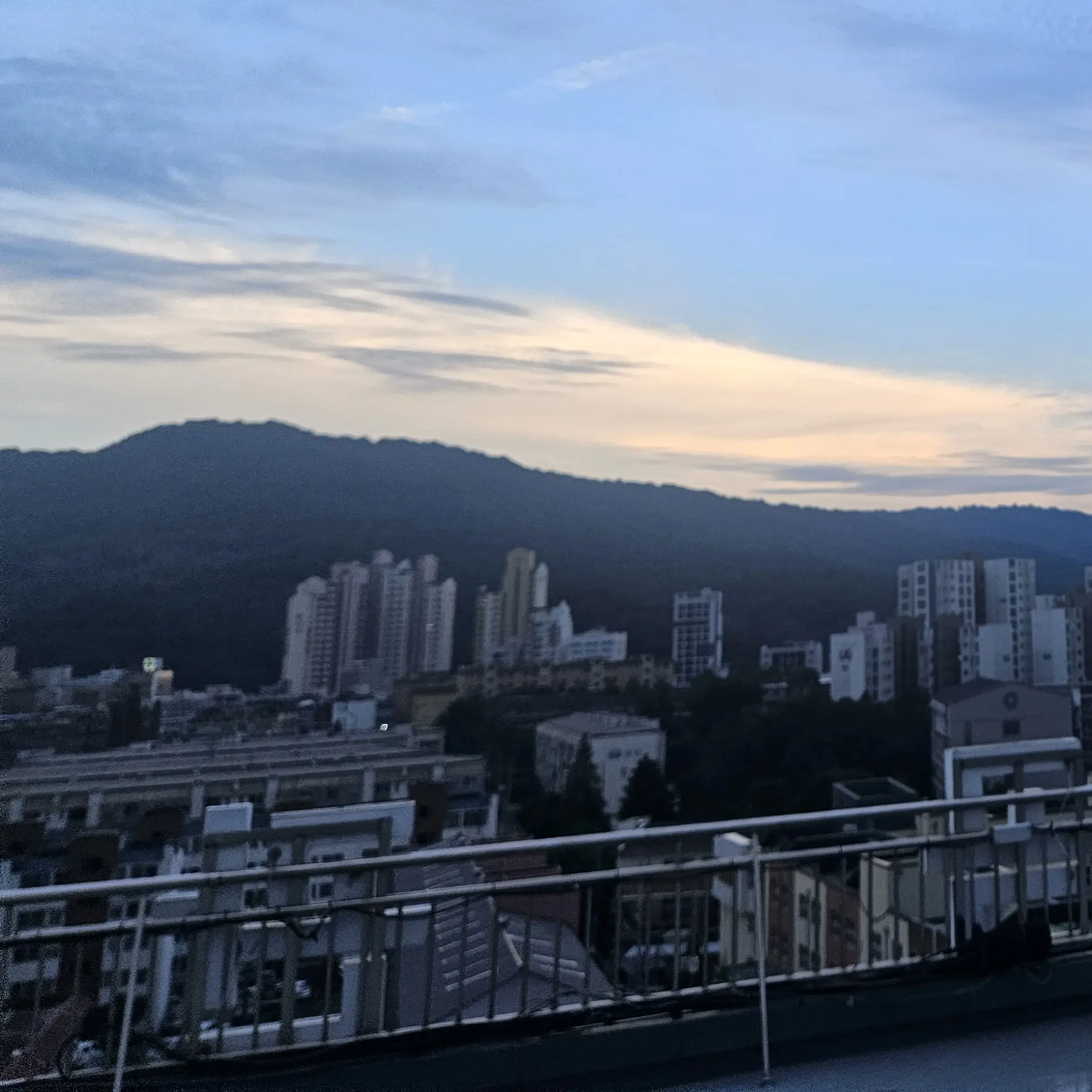 candyland7795의 정도하